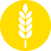 Icon of a corn stalk, in yellow