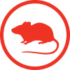 Icon of a rodent silhouette, in red