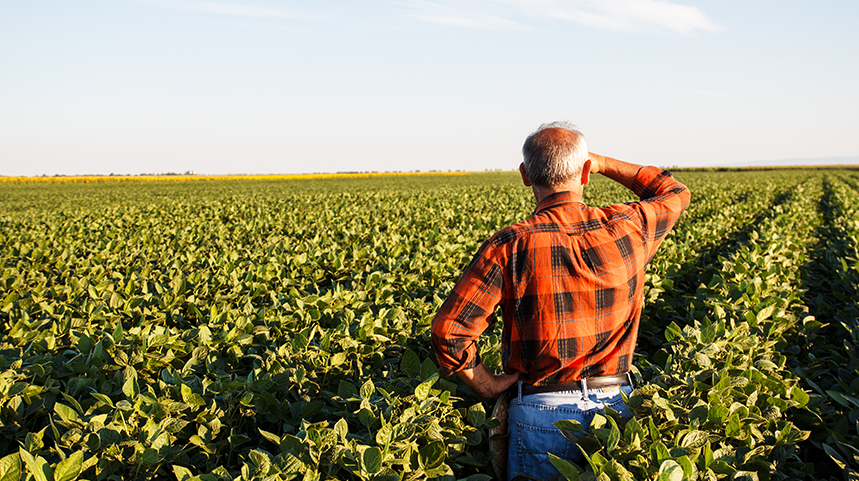 Farmer wearing a red and black plaid shirt looking into the distance over the fields