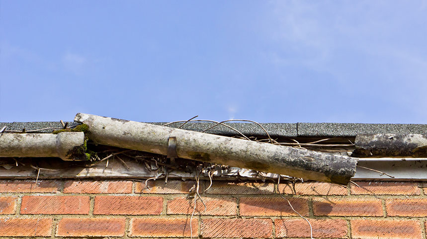 A rotted gutter partially hanging off a roof