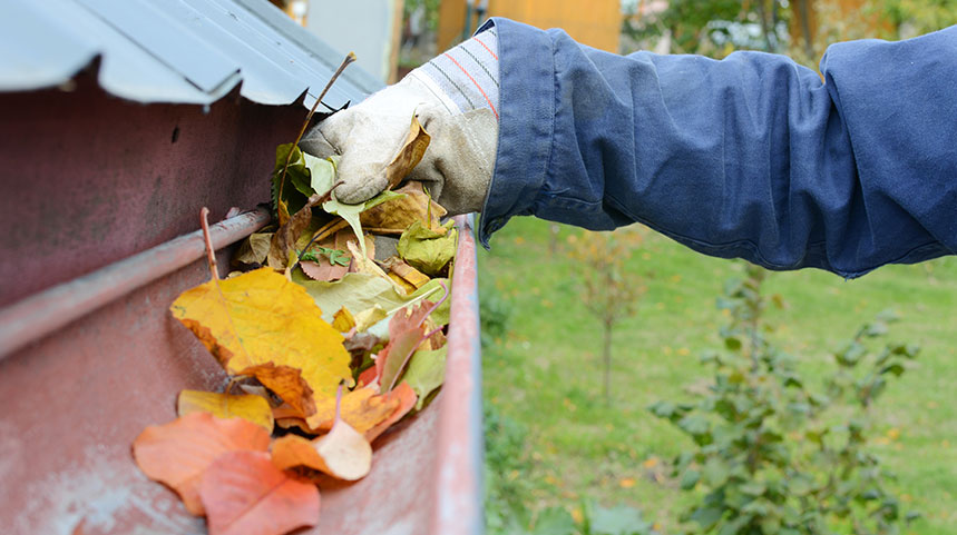 The Hidden Value of Cleaning Gutters