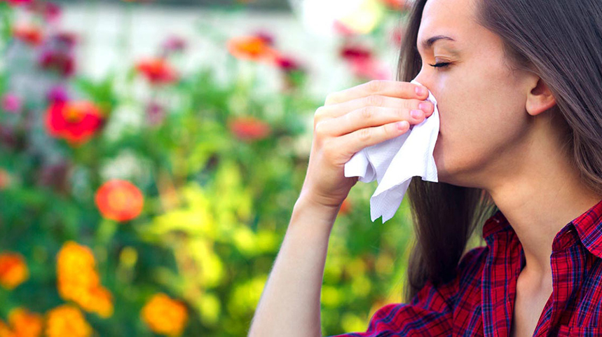 How to Properly Clean Pollen Off the Outside of Your Home