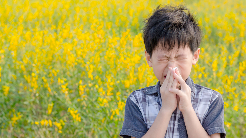 Pollen 101: What It Is and Why It Makes You Sneeze