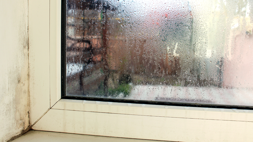 Managing Your Home’s Indoor Humidity